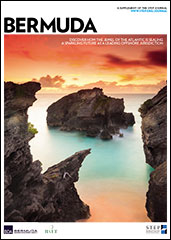 Step Journal - Bermuda Supplement