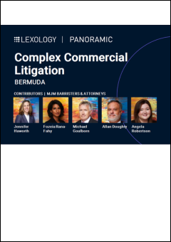 Complex Commerical Litigation